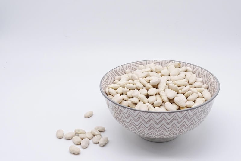 Alternative Protein Sources